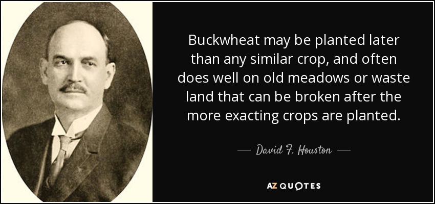 Buckwheat may be planted later than any similar crop, and often does well on old meadows or waste land that can be broken after the more exacting crops are planted. - David F. Houston