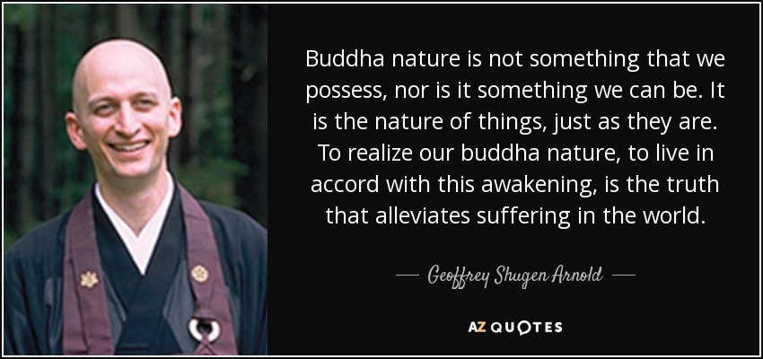 Buddha nature is not something that we possess, nor is it something we can be. It is the nature of things, just as they are. To realize our buddha nature, to live in accord with this awakening, is the truth that alleviates suffering in the world. - Geoffrey Shugen Arnold