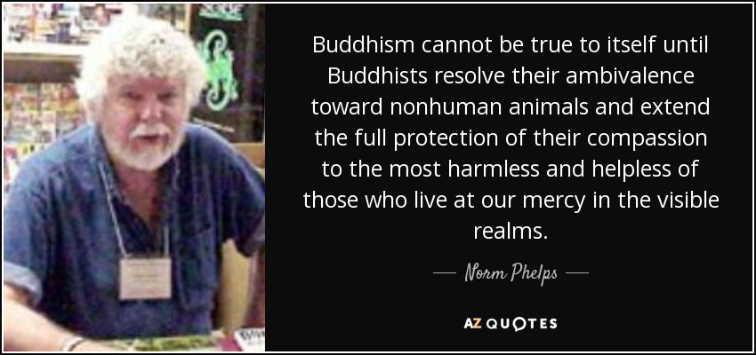 Buddhism cannot be true to itself until Buddhists resolve their ambivalence toward nonhuman animals and extend the full protection of their compassion to the most harmless and helpless of those who live at our mercy in the visible realms. - Norm Phelps