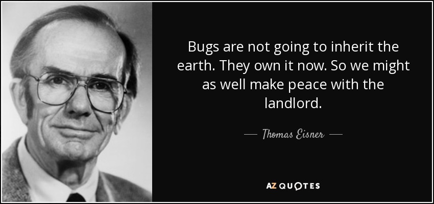 Bugs are not going to inherit the earth. They own it now. So we might as well make peace with the landlord. - Thomas Eisner