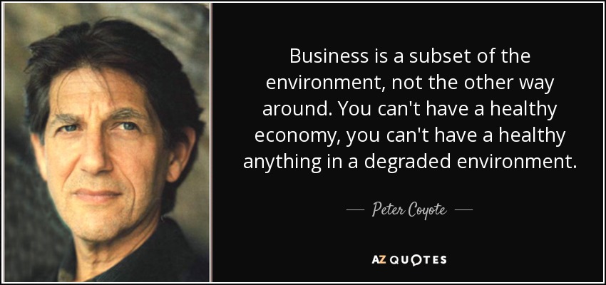 Business is a subset of the environment, not the other way around. You can't have a healthy economy, you can't have a healthy anything in a degraded environment. - Peter Coyote