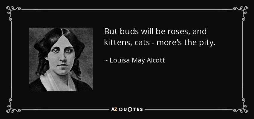 But buds will be roses, and kittens, cats - more's the pity. - Louisa May Alcott