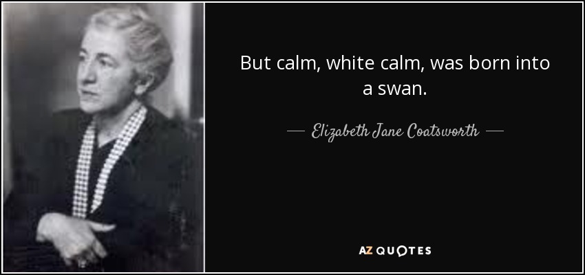 But calm, white calm, was born into a swan. - Elizabeth Jane Coatsworth