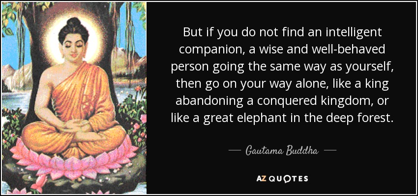But if you do not find an intelligent companion, a wise and well-behaved person going the same way as yourself, then go on your way alone, like a king abandoning a conquered kingdom, or like a great elephant in the deep forest. - Gautama Buddha