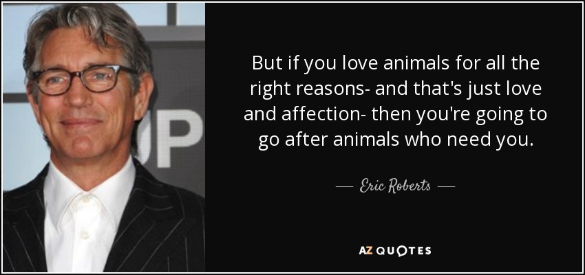 But if you love animals for all the right reasons- and that's just love and affection- then you're going to go after animals who need you. - Eric Roberts