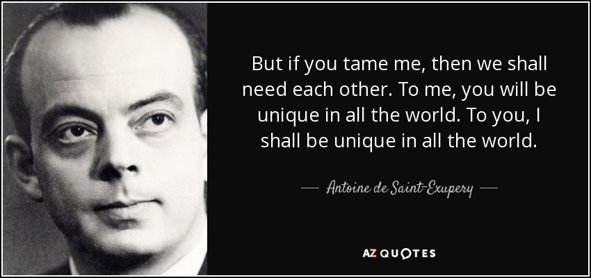 But if you tame me, then we shall need each other. To me, you will be unique in all the world. To you, I shall be unique in all the world. - Antoine de Saint-Exupery
