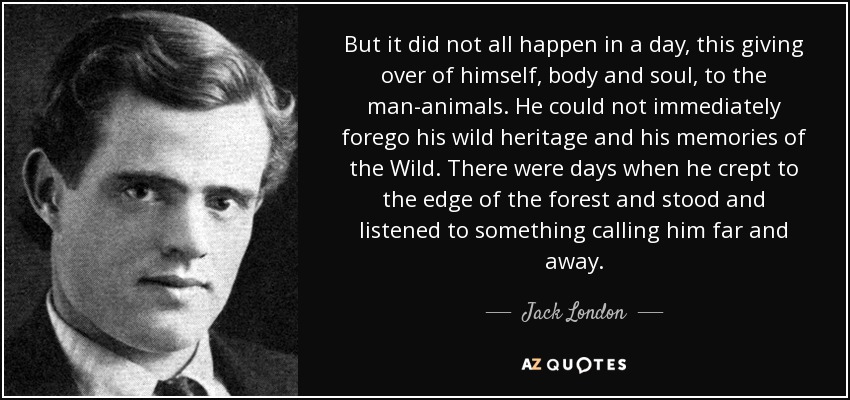 But it did not all happen in a day, this giving over of himself, body and soul, to the man-animals. He could not immediately forego his wild heritage and his memories of the Wild. There were days when he crept to the edge of the forest and stood and listened to something calling him far and away. - Jack London