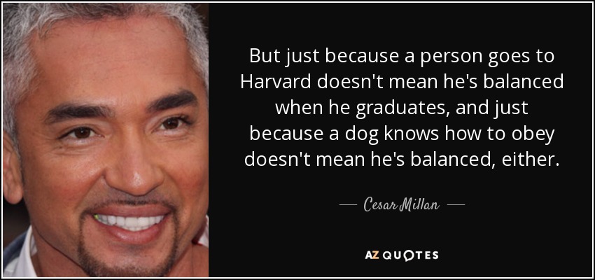 But just because a person goes to Harvard doesn't mean he's balanced when he graduates, and just because a dog knows how to obey doesn't mean he's balanced, either. - Cesar Millan