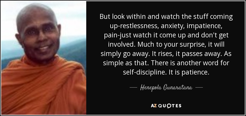 But look within and watch the stuff coming up-restlessness, anxiety, impatience, pain-just watch it come up and don't get involved. Much to your surprise, it will simply go away. It rises, it passes away. As simple as that. There is another word for self-discipline. It is patience. - Henepola Gunaratana