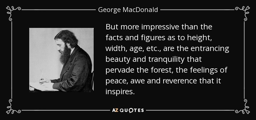 But more impressive than the facts and figures as to height, width, age, etc., are the entrancing beauty and tranquility that pervade the forest, the feelings of peace, awe and reverence that it inspires. - George MacDonald