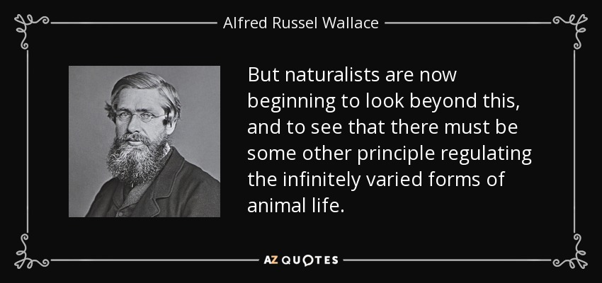 But naturalists are now beginning to look beyond this, and to see that there must be some other principle regulating the infinitely varied forms of animal life. - Alfred Russel Wallace