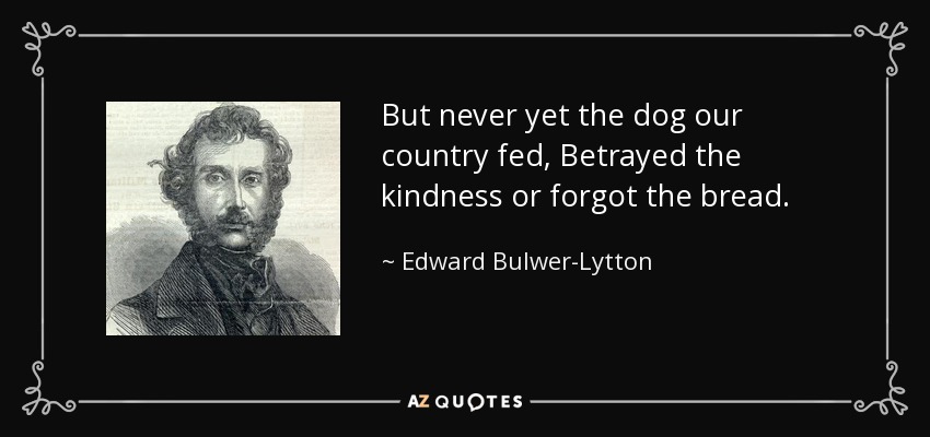 But never yet the dog our country fed, Betrayed the kindness or forgot the bread. - Edward Bulwer-Lytton, 1st Baron Lytton