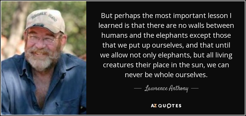 But perhaps the most important lesson I learned is that there are no walls between humans and the elephants except those that we put up ourselves, and that until we allow not only elephants, but all living creatures their place in the sun, we can never be whole ourselves. - Lawrence Anthony