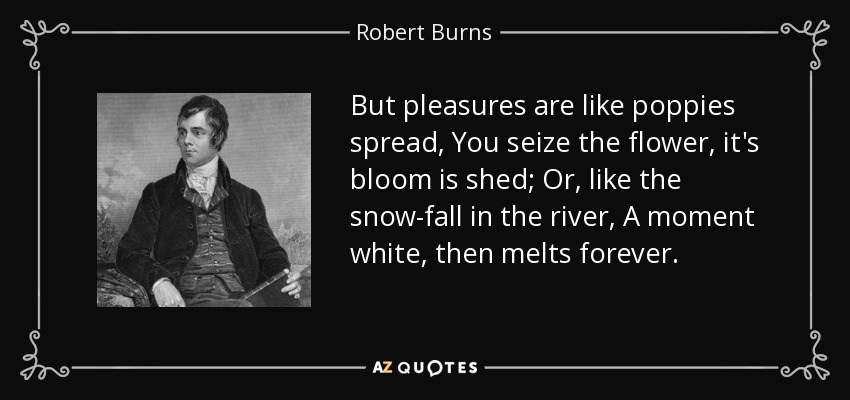 But pleasures are like poppies spread, You seize the flower, it's bloom is shed; Or, like the snow-fall in the river, A moment white, then melts forever. - Robert Burns