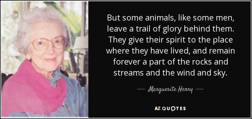 But some animals, like some men, leave a trail of glory behind them. They give their spirit to the place where they have lived, and remain forever a part of the rocks and streams and the wind and sky. - Marguerite Henry
