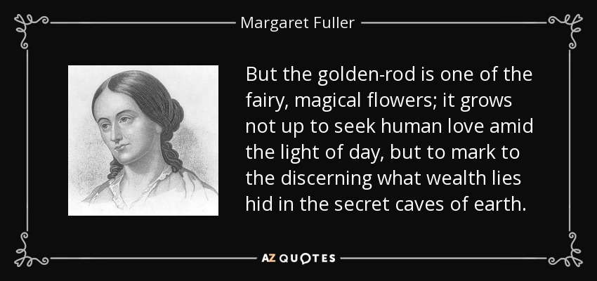 But the golden-rod is one of the fairy, magical flowers; it grows not up to seek human love amid the light of day, but to mark to the discerning what wealth lies hid in the secret caves of earth. - Margaret Fuller