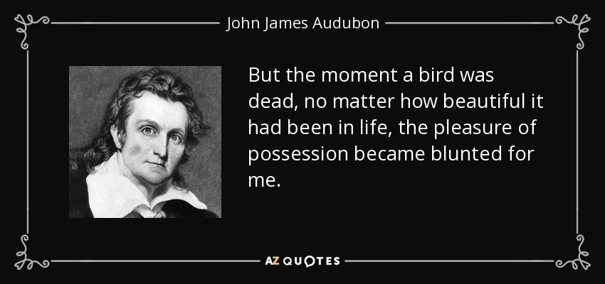But the moment a bird was dead, no matter how beautiful it had been in life, the pleasure of possession became blunted for me. - John James Audubon