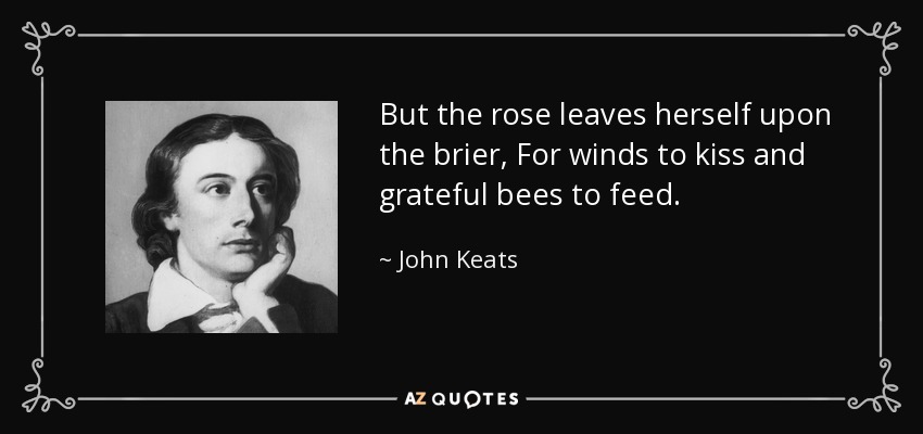 But the rose leaves herself upon the brier, For winds to kiss and grateful bees to feed. - John Keats