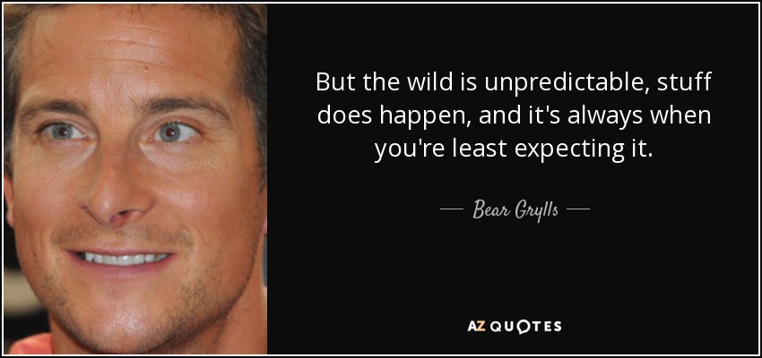 But the wild is unpredictable, stuff does happen, and it's always when you're least expecting it. - Bear Grylls