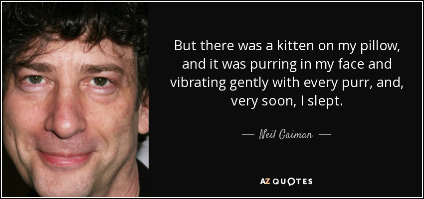 But there was a kitten on my pillow, and it was purring in my face and vibrating gently with every purr, and, very soon, I slept. - Neil Gaiman