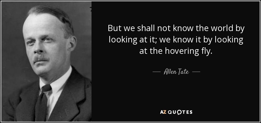 But we shall not know the world by looking at it; we know it by looking at the hovering fly. - Allen Tate