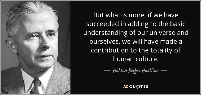 But what is more, if we have succeeded in adding to the basic understanding of our universe and ourselves, we will have made a contribution to the totality of human culture. - Haldan Keffer Hartline