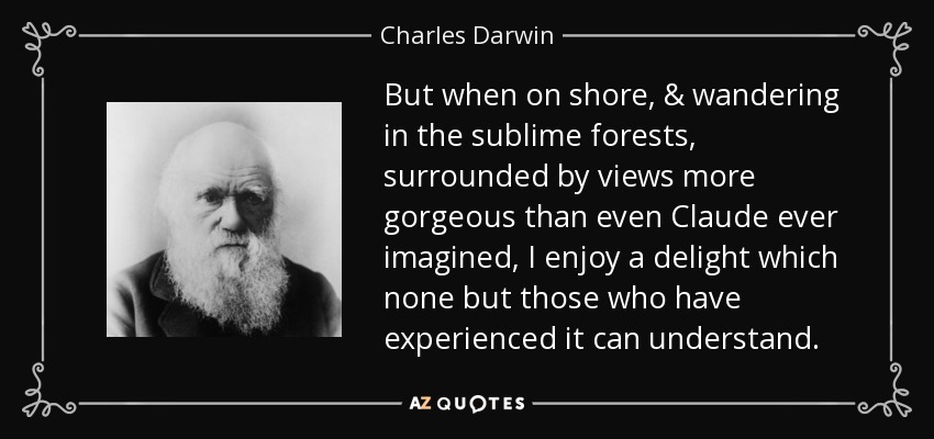 But when on shore, & wandering in the sublime forests, surrounded by views more gorgeous than even Claude ever imagined, I enjoy a delight which none but those who have experienced it can understand. - Charles Darwin