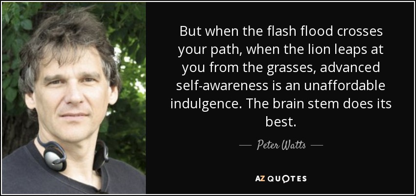 But when the flash flood crosses your path, when the lion leaps at you from the grasses, advanced self-awareness is an unaffordable indulgence. The brain stem does its best. - Peter Watts