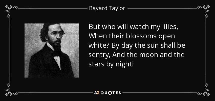 But who will watch my lilies, When their blossoms open white? By day the sun shall be sentry, And the moon and the stars by night! - Bayard Taylor