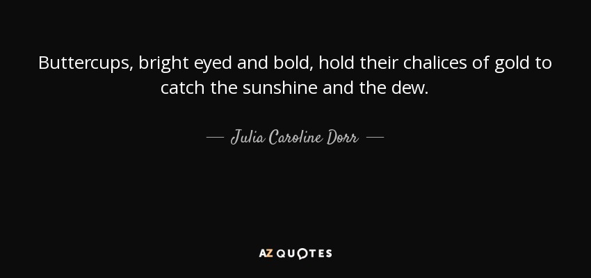 Buttercups, bright eyed and bold, hold their chalices of gold to catch the sunshine and the dew. - Julia Caroline Dorr