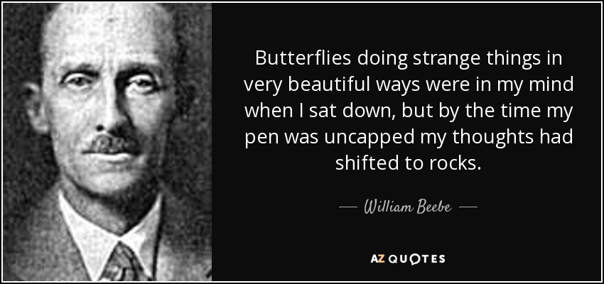 Butterflies doing strange things in very beautiful ways were in my mind when I sat down, but by the time my pen was uncapped my thoughts had shifted to rocks. - William Beebe