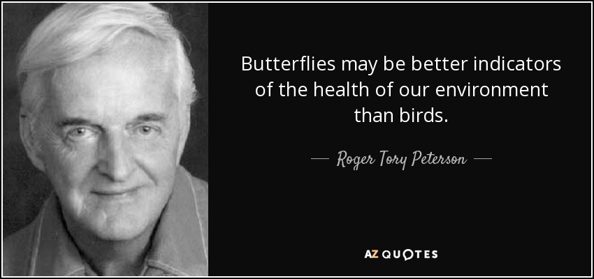 Butterflies may be better indicators of the health of our environment than birds. - Roger Tory Peterson