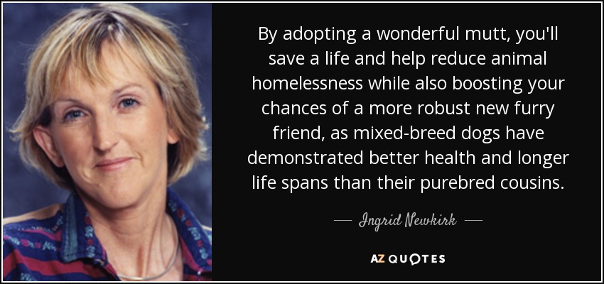 By adopting a wonderful mutt, you'll save a life and help reduce animal homelessness while also boosting your chances of a more robust new furry friend, as mixed-breed dogs have demonstrated better health and longer life spans than their purebred cousins. - Ingrid Newkirk