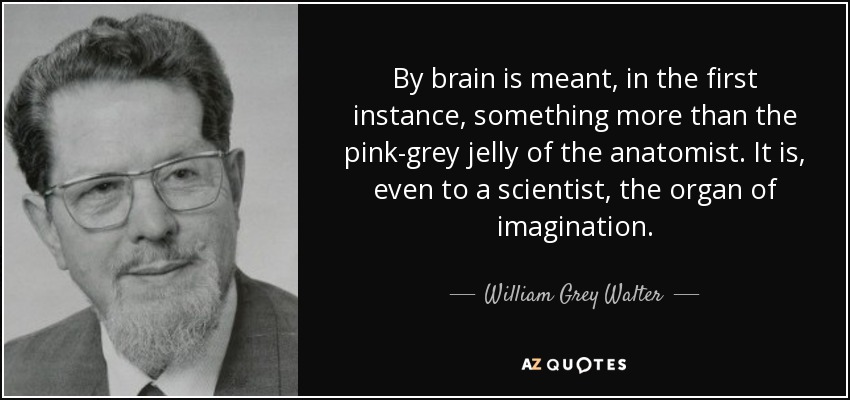 By brain is meant, in the first instance, something more than the pink-grey jelly of the anatomist. It is, even to a scientist, the organ of imagination. - William Grey Walter
