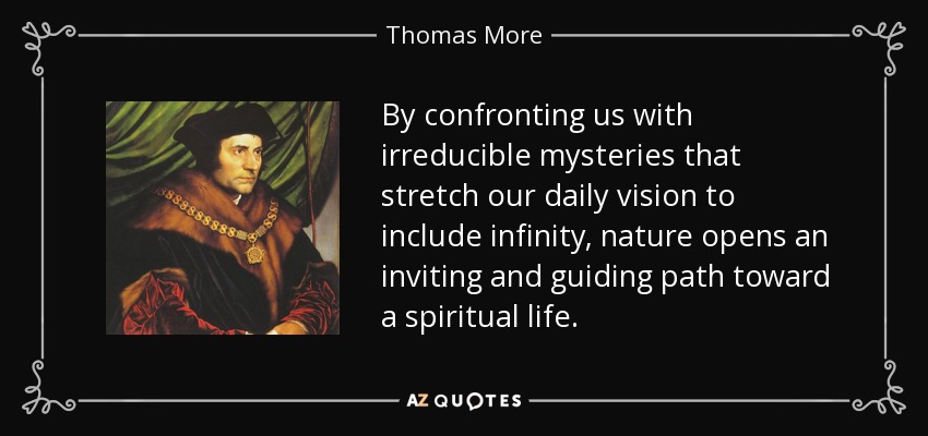 By confronting us with irreducible mysteries that stretch our daily vision to include infinity, nature opens an inviting and guiding path toward a spiritual life. - Thomas More