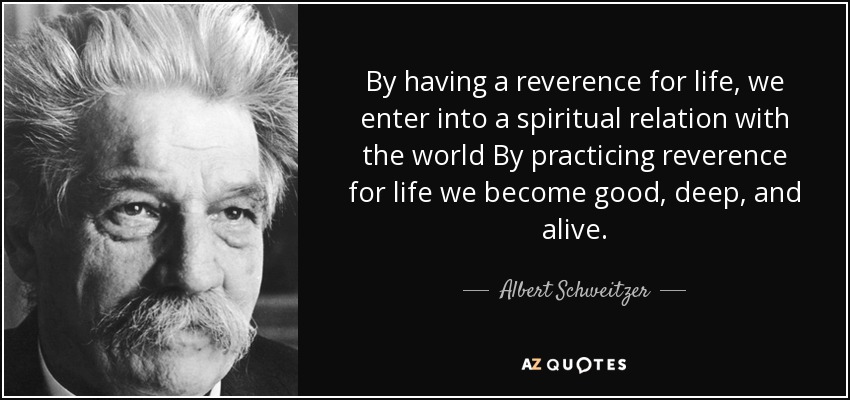 By having a reverence for life, we enter into a spiritual relation with the world By practicing reverence for life we become good, deep, and alive. - Albert Schweitzer
