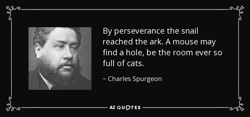 By perseverance the snail reached the ark. A mouse may find a hole, be the room ever so full of cats. - Charles Spurgeon