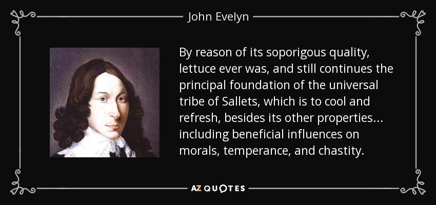 By reason of its soporigous quality, lettuce ever was, and still continues the principal foundation of the universal tribe of Sallets, which is to cool and refresh, besides its other properties... including beneficial influences on morals, temperance, and chastity. - John Evelyn