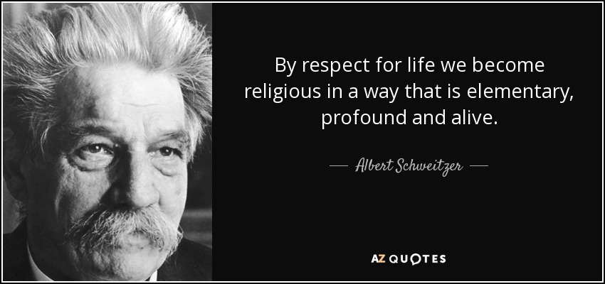 By respect for life we become religious in a way that is elementary, profound and alive. - Albert Schweitzer