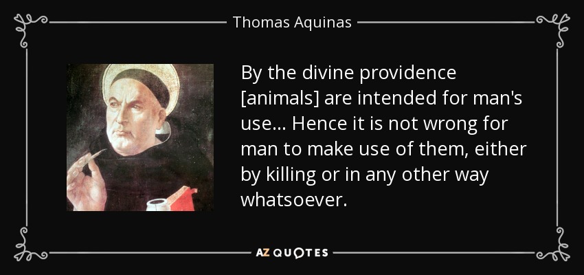 By the divine providence [animals] are intended for man's use... Hence it is not wrong for man to make use of them, either by killing or in any other way whatsoever. - Thomas Aquinas