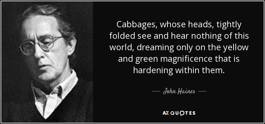Cabbages, whose heads, tightly folded see and hear nothing of this world, dreaming only on the yellow and green magnificence that is hardening within them. - John Haines