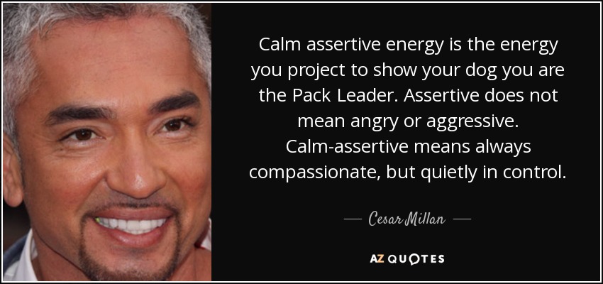 Calm assertive energy is the energy you project to show your dog you are the Pack Leader. Assertive does not mean angry or aggressive. Calm-assertive means always compassionate, but quietly in control. - Cesar Millan