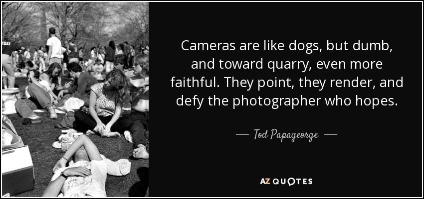 Cameras are like dogs, but dumb, and toward quarry, even more faithful. They point, they render, and defy the photographer who hopes. - Tod Papageorge