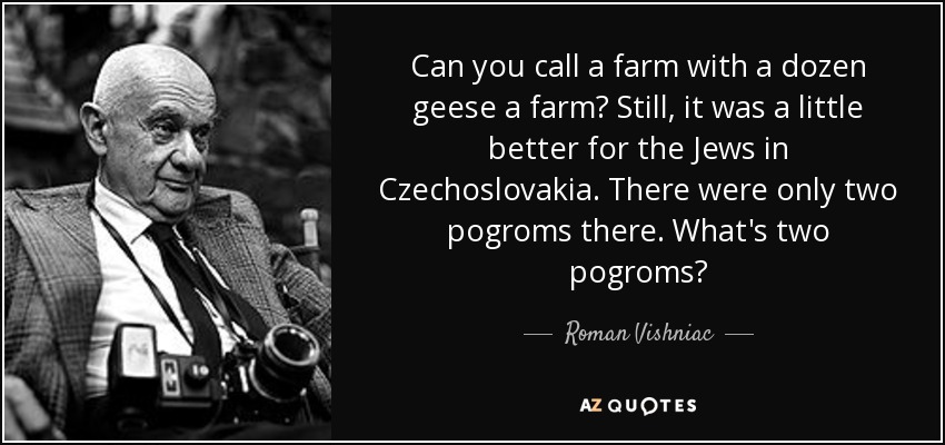 Can you call a farm with a dozen geese a farm? Still, it was a little better for the Jews in Czechoslovakia. There were only two pogroms there. What's two pogroms? - Roman Vishniac