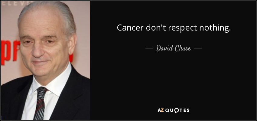Cancer don't respect nothing. - David Chase