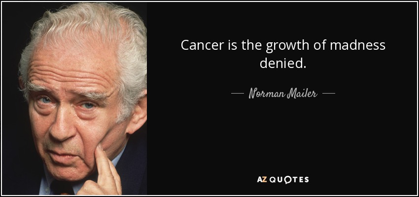 Cancer is the growth of madness denied. - Norman Mailer