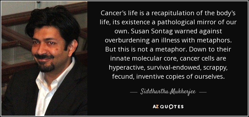 Cancer's life is a recapitulation of the body's life, its existence a pathological mirror of our own. Susan Sontag warned against overburdening an illness with metaphors. But this is not a metaphor. Down to their innate molecular core, cancer cells are hyperactive, survival-endowed, scrappy, fecund, inventive copies of ourselves. - Siddhartha Mukherjee