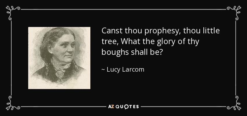 Canst thou prophesy, thou little tree, What the glory of thy boughs shall be? - Lucy Larcom