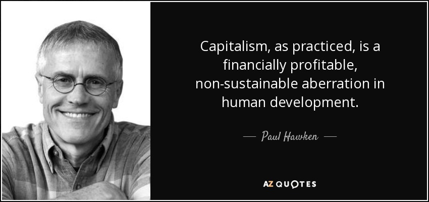 Capitalism, as practiced, is a financially profitable, non-sustainable aberration in human development. - Paul Hawken