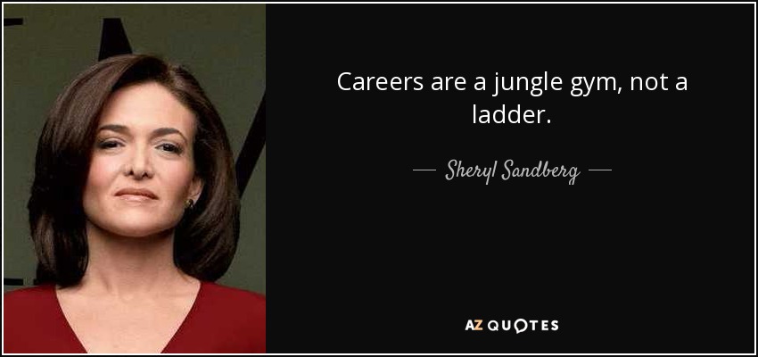 Careers are a jungle gym, not a ladder. - Sheryl Sandberg